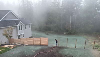 Person with hose watering new grass in backyard of house on foggy day.