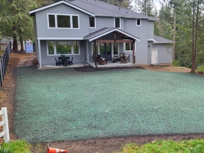 Freshly hydroseeded lawn at residential property in Washington State.