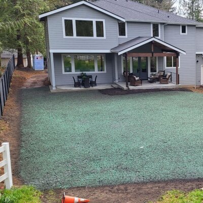 Freshly hydroseeded lawn at residential property in Washington State.