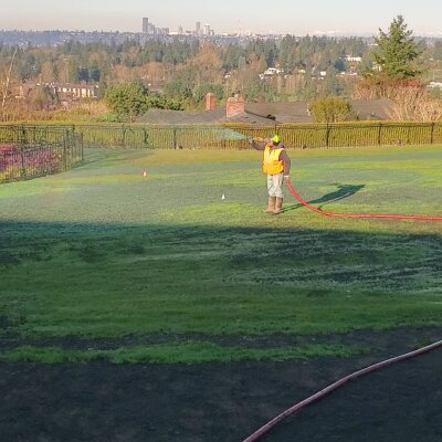 Worker watering grass in park with city skyline in background.