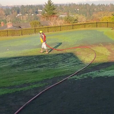 Worker watering grass with a red hose on sunny day.