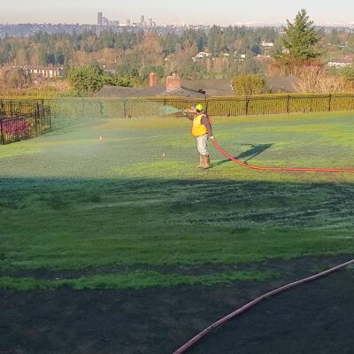 Worker spraying grass with hose, city skyline in the background.