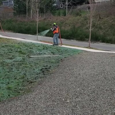 Worker spraying green hydroseed mixture on soil for grass growth.
