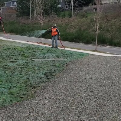 Worker applying hydromulch for erosion control on a landscaped area.