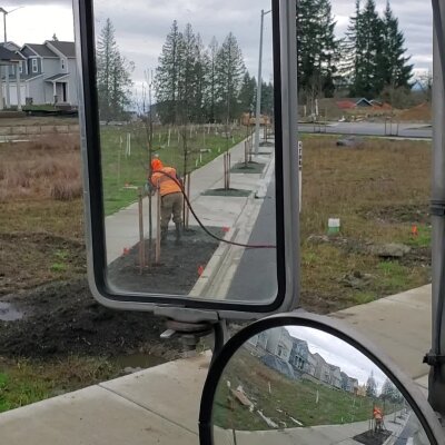 Worker watering newly planted trees on suburban street seen through vehicle mirrors.