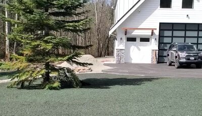 Freshly hydroseeded lawn in front of modern house with driveway and vehicle.