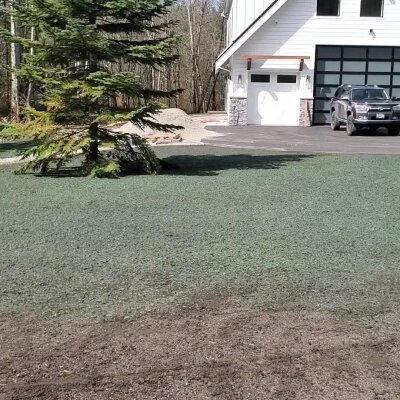 Freshly hydroseeded lawn in front of modern house with driveway and vehicle.
