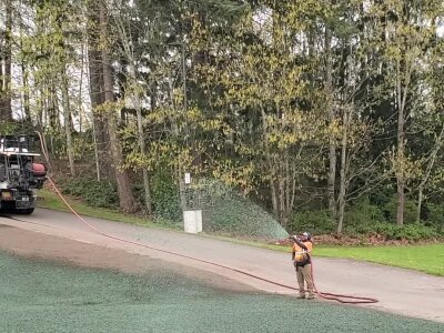 Worker applying hydroseed mix to soil with hose from truck near trees.