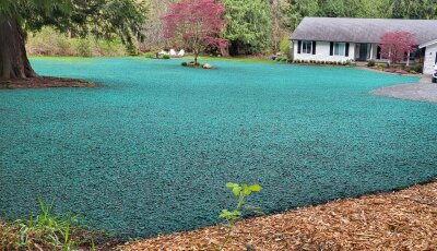 Turquoise hydroseeded lawn near house and tree with truck on the side.