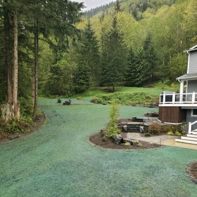 Hydroseeded lawn near house with forest background in Washington State.