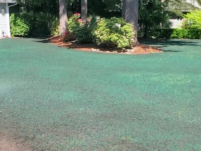 Freshly hydroseeded lawn by a Washington state hydroseeding company with trees in background.