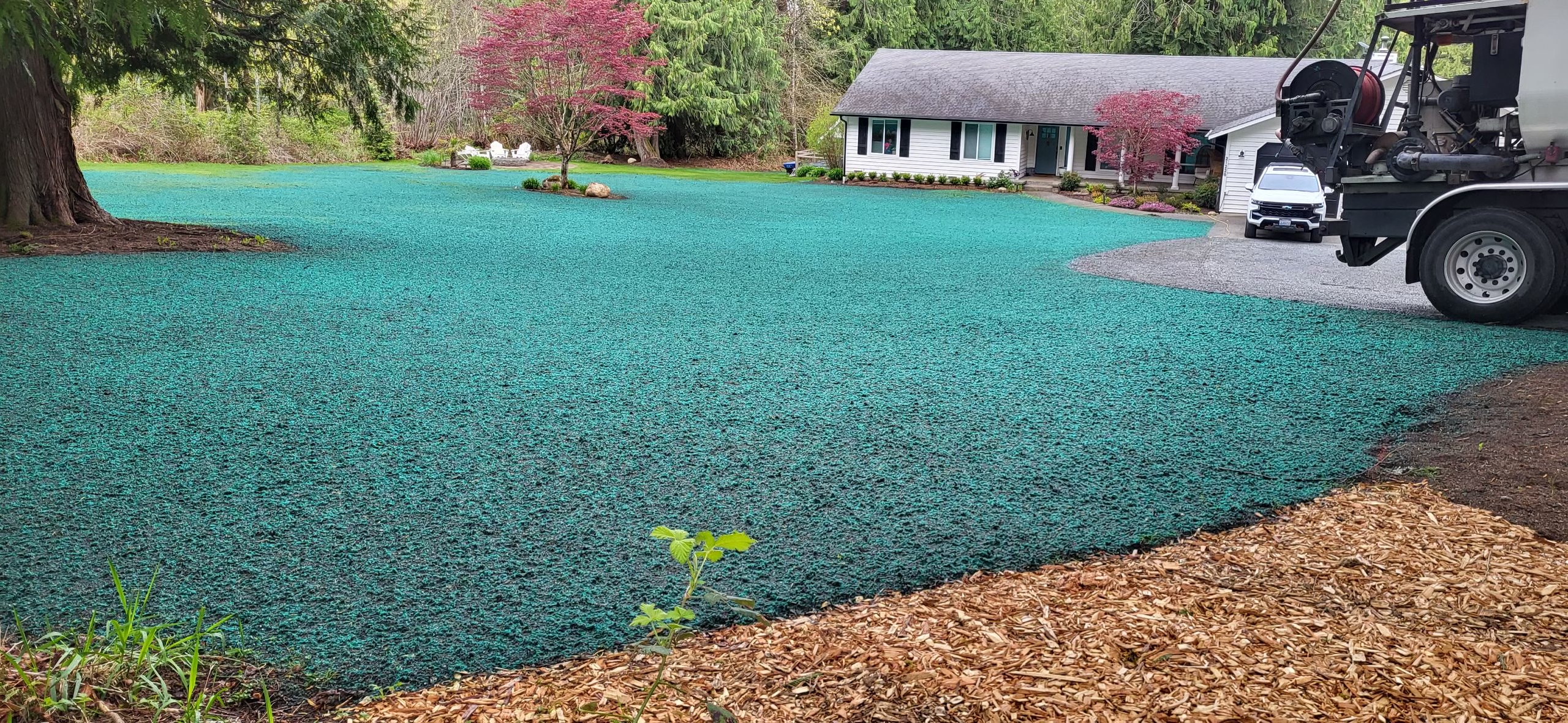 Residential lawns