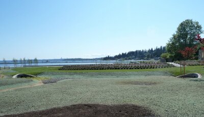 Waterfront park with hydroseeded grass areas and scenic mountain background.