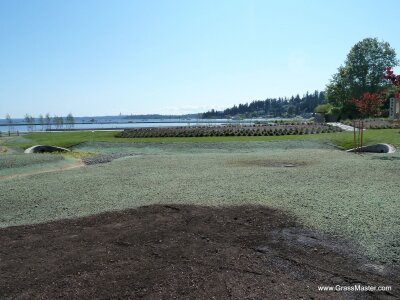 Waterfront park with hydroseeded grass areas and scenic mountain background.