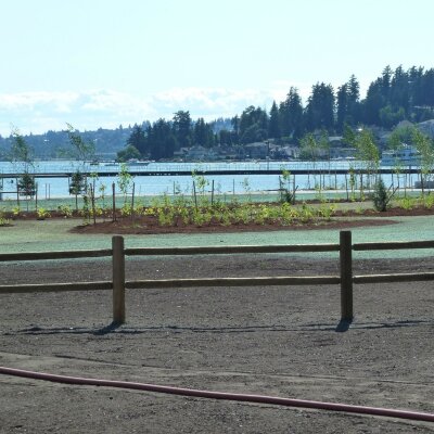 Lakeside view with wooden fence, young trees, and distant houses under a clear sky.