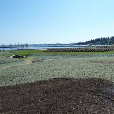 Waterfront park with hydroseeded grass areas and scenic mountain background.