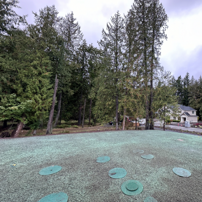 Residential street with green circles on pavement and forested area in the background.