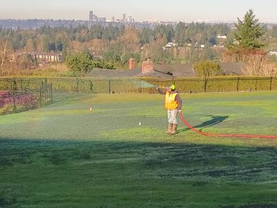 Worker watering grass in park with city skyline in background.