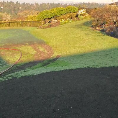 Dewy garden at sunrise with grass path, fence, and flowering shrubs.