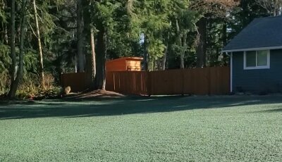 House with a green lawn and trees in the background.