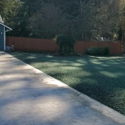 Shadowy driveway with fence and trees in sunny weather.