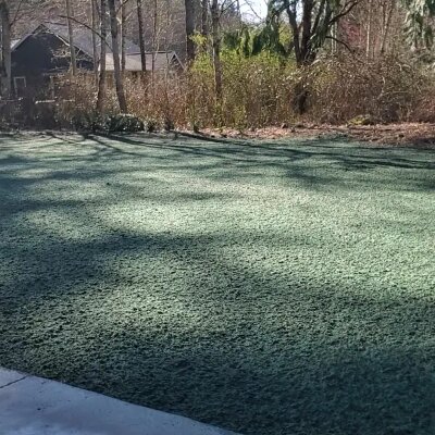 Frost-covered grass with tree shadows and a building in background.