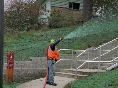 Worker spraying green hydroseed mixture on hillside for erosion control.