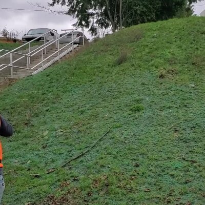 Sloped grassy area with parked cars and metal staircase in background.