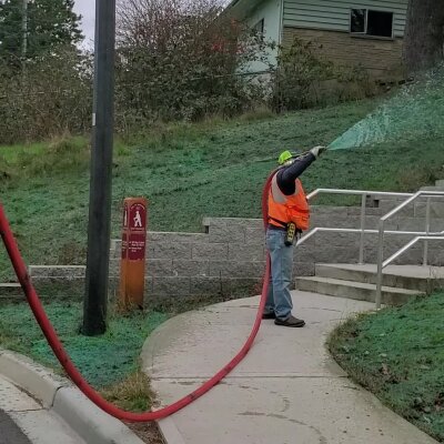 Worker spraying green hydroseed on soil with hose near stairs and house.