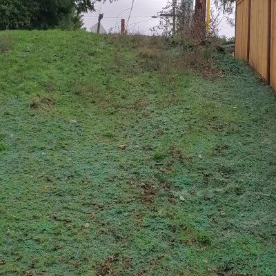 Grassy hillside with wooden fence and overcast sky.