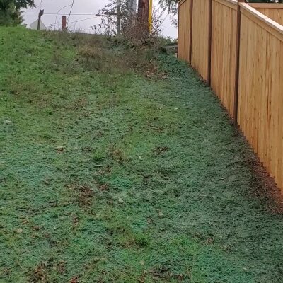 Grassy hillside with fence and overcast sky.