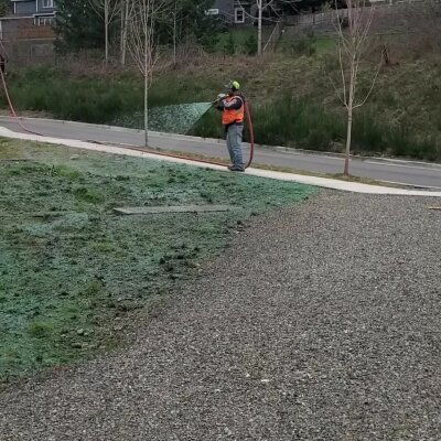 Worker spraying green hydroseed mixture on soil for grass growth.