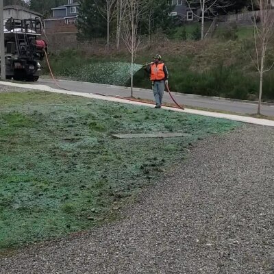 Worker spraying green hydroseed mixture onto soil near truck on overcast day.