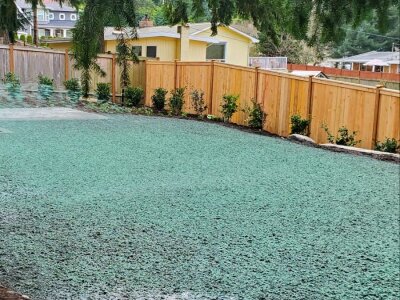 Worker spraying hydroseed mixture on residential lawn.