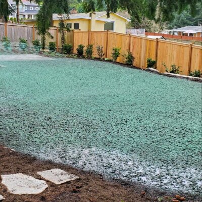 Worker spraying hydroseed mixture on residential lawn.