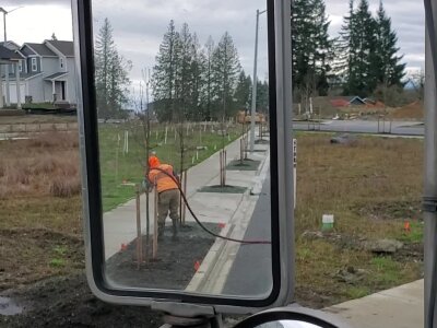 Worker watering newly planted trees on suburban street seen through vehicle mirrors.