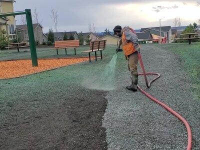 Worker using hose to water new grass seeding at playground.