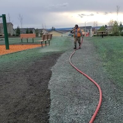 Person watering grass in a park with a long hose.