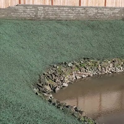 Stone-edged pond in green grassy area with wooden fence and brick wall.