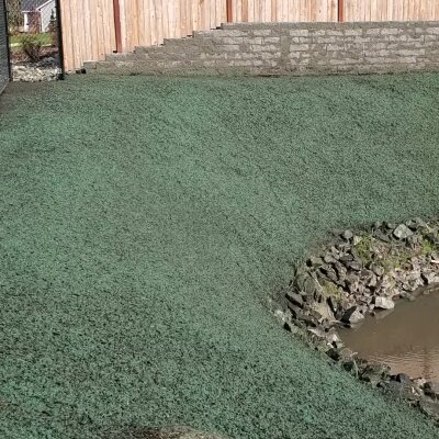 Green backyard with a small pond and a wooden fence.