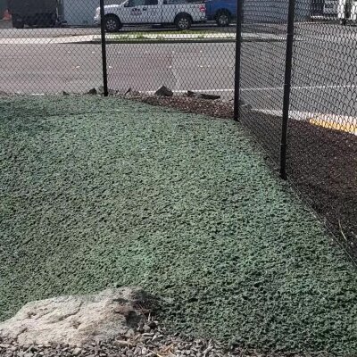 Chain-link fence by grass field with parked vehicles in background.