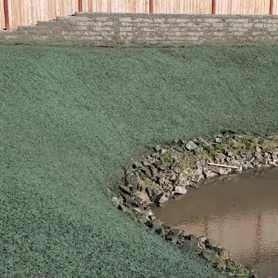 Pond with rocky edge on a green grassy field by a wooden fence.