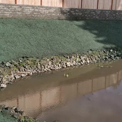 Shadow of a tree on a fence by a muddy stream.