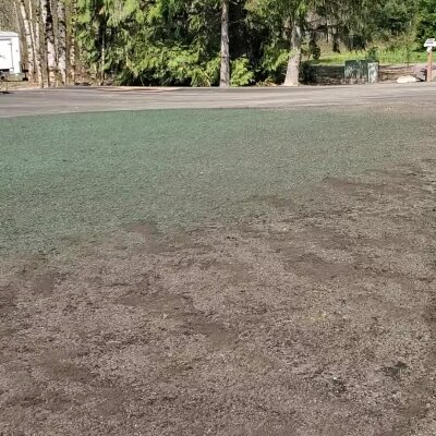 Empty parking area surrounded by trees on a sunny day.