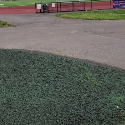 Running track and field with pathway and grass, overcast weather.