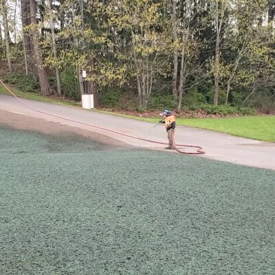 Worker watering grass with hose near a road and trees.