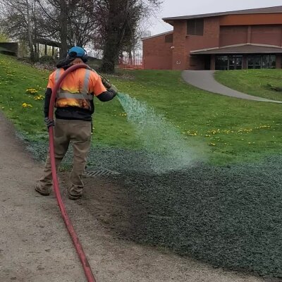 Worker applying hydroseed mixture for grass growth on lawn.