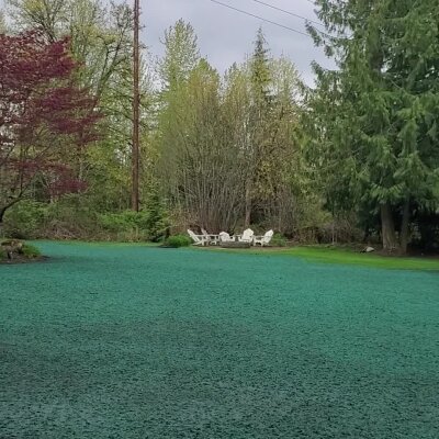 Lush green lawn with chairs and trees in a garden setting.