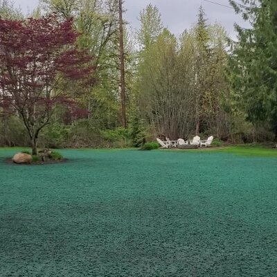 Green grassy area with trees and white patio furniture in the background.