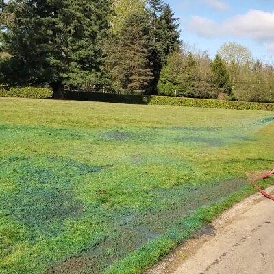 Grassy field with blue spray pattern on grass near trees and hedge.